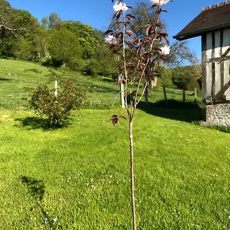 Le Clos Verdoyant Holiday home *